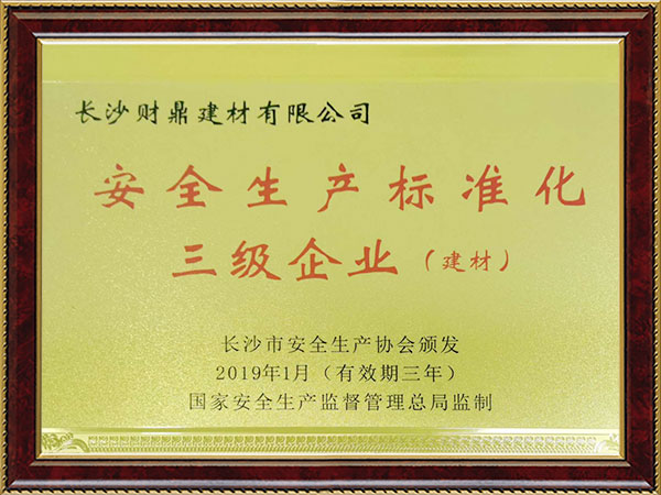 安全生產(chǎn)標(biāo)準(zhǔn)化三級企業(yè)